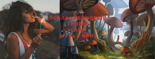 мескалин Михайлов