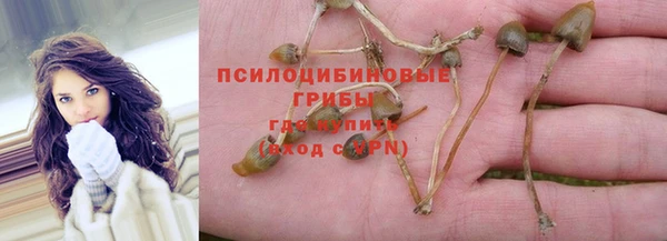 стаф Михайловск