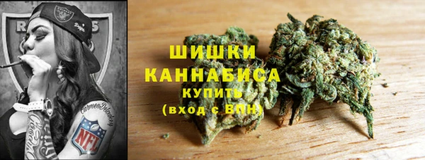 стаф Михайловск