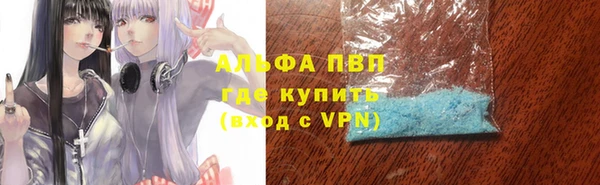стаф Михайловск