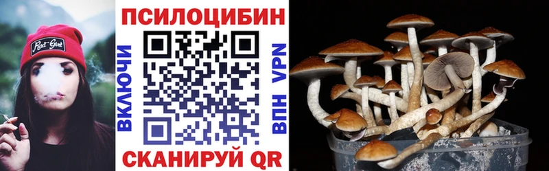 Купить где Красновишерск Псилоцибиновые грибы мухоморы
