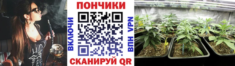 Купить где  Красновишерск  Конопля Ganja 